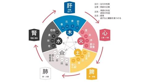 季節 五行|【季節と陰陽五行】中医養生学｜ひろたか@中医学ノー